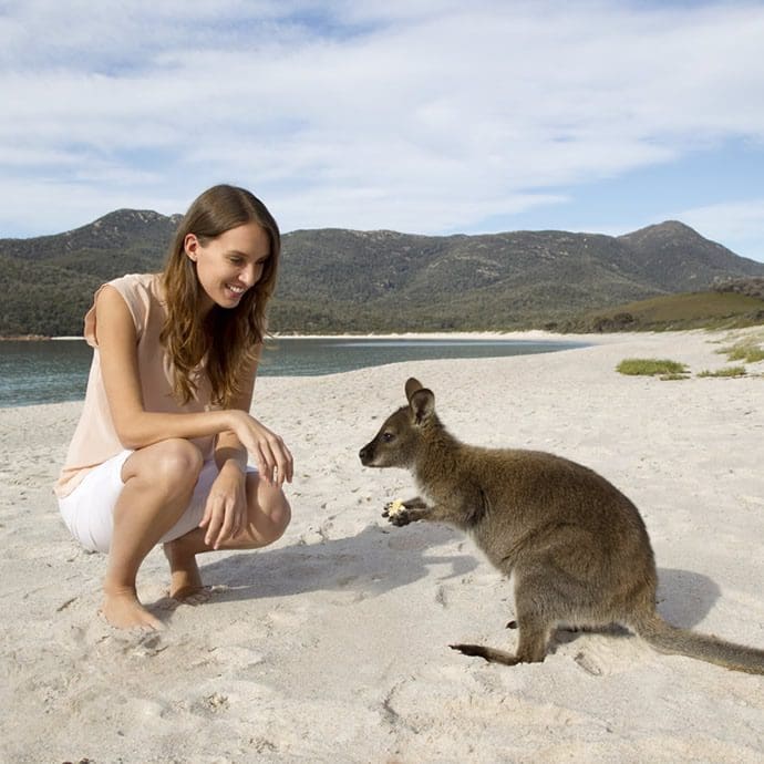 Making friends with a kangaroo on Wineglass Bay Beach in Freycinet, Tasmania - Tourism Australia