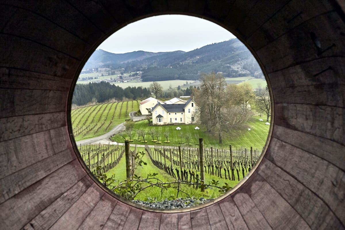 David Hill Winery in Willamette Valley – Travel Oregon