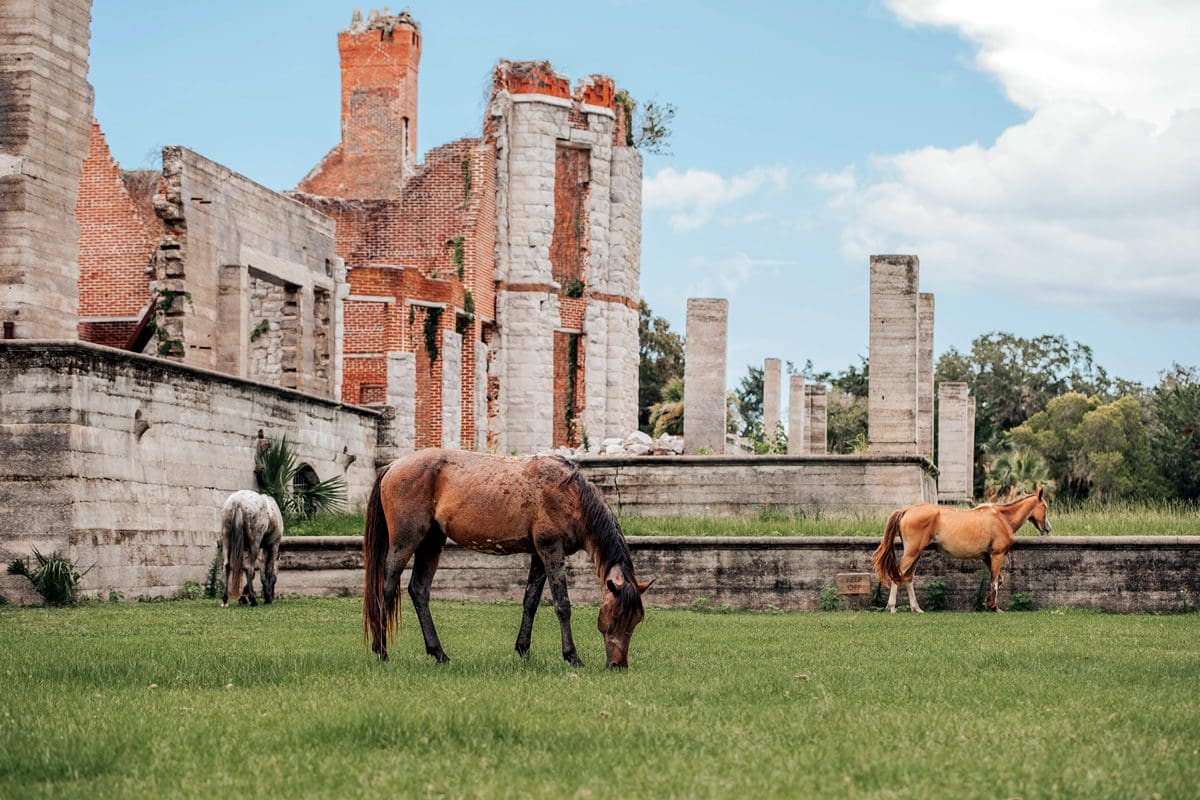 Cumberland Island Dungeness ruins and wild horses - Explore Georgia