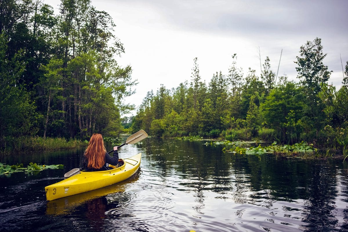 Kayaking in Okefenokee swamp - Explore Georgia/Wander North Georgia
