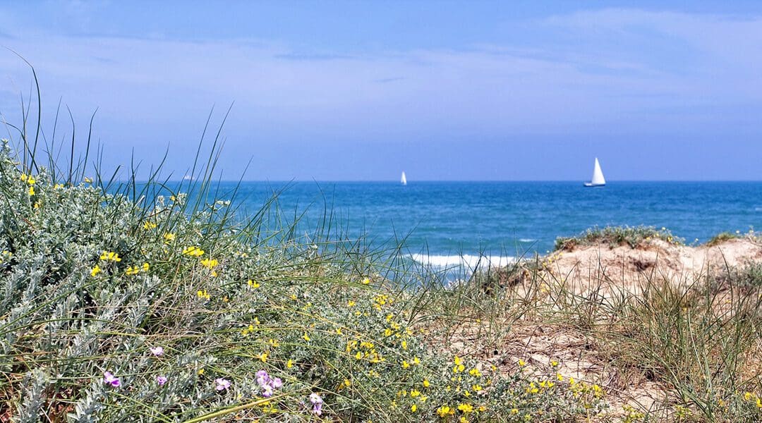 Explore Valencia On A Coastal City Short Break