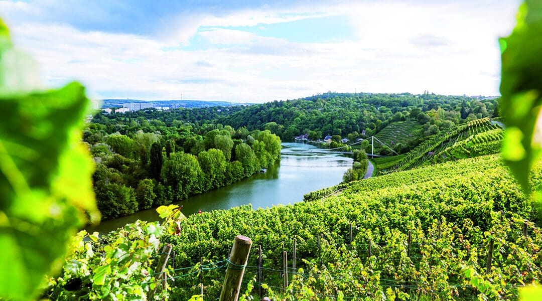 The Neckar River