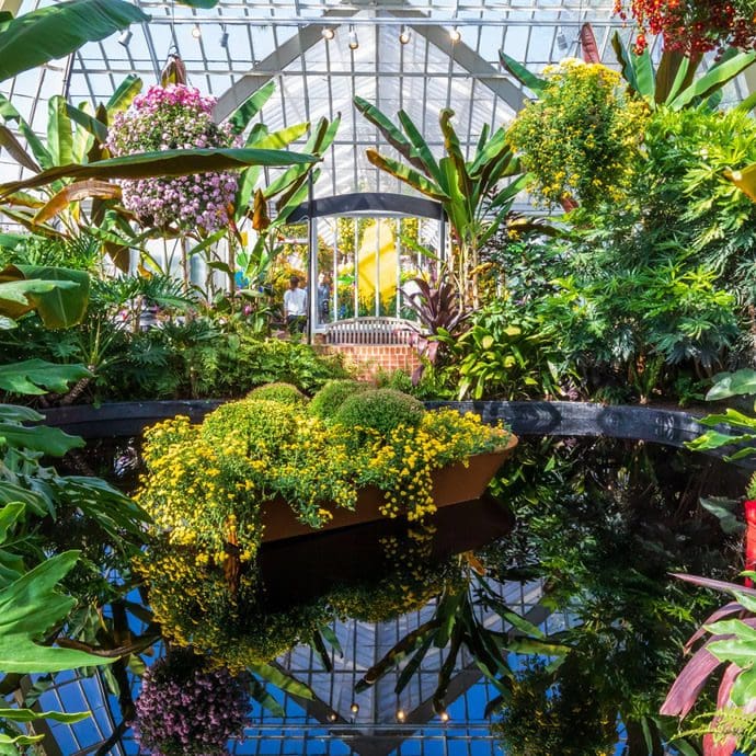 Phipps Conservatory fall floral display - Visit Pittsburgh Phipps Conservatory fall floral display - Visit Pittsburgh