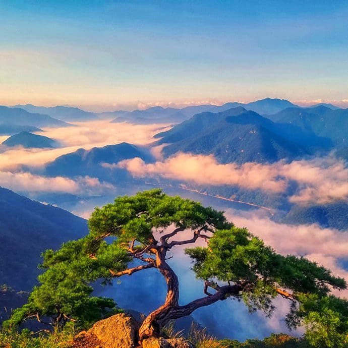 Unamsan Mountain - Korea Tourism Organisation/Lee Subin Unamsan Mountain - Korea Tourism Organisation/Lee Subin