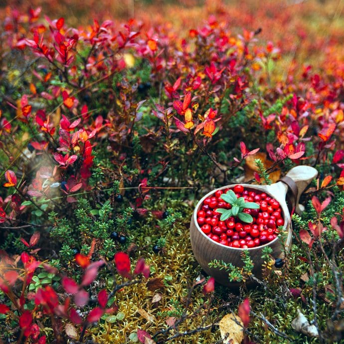 Hole 16, golf - Bermuda Tourism Authority