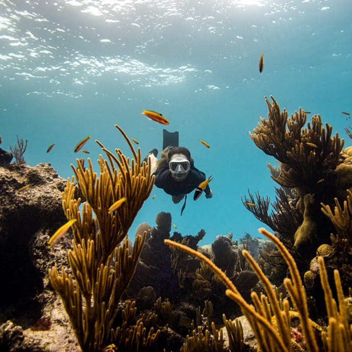 Swimming underwater - Bermuda Tourism