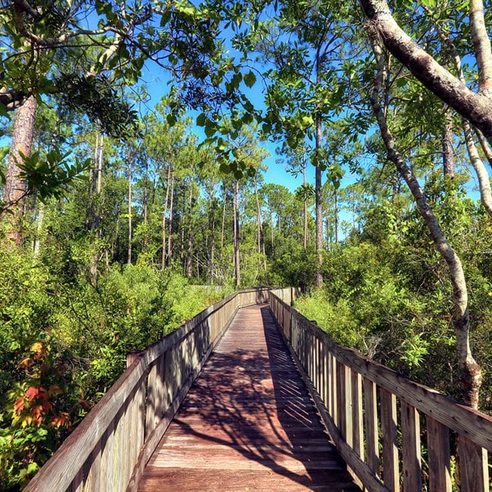 Tibet-Butler Preserve, Orlando