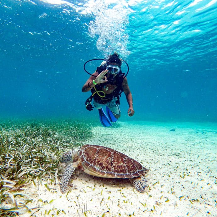 Diving with turtles - Travel Belize