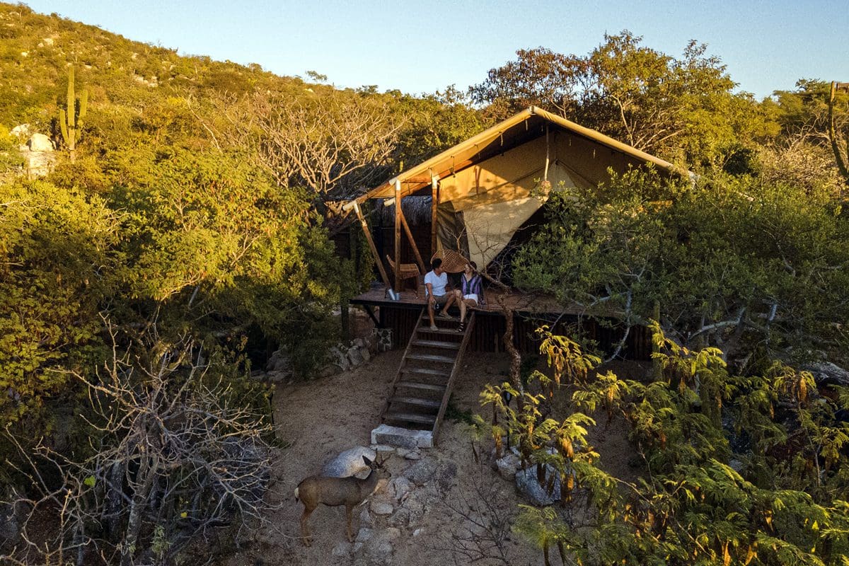 Wildlife glamping tent - La Paz Tourism