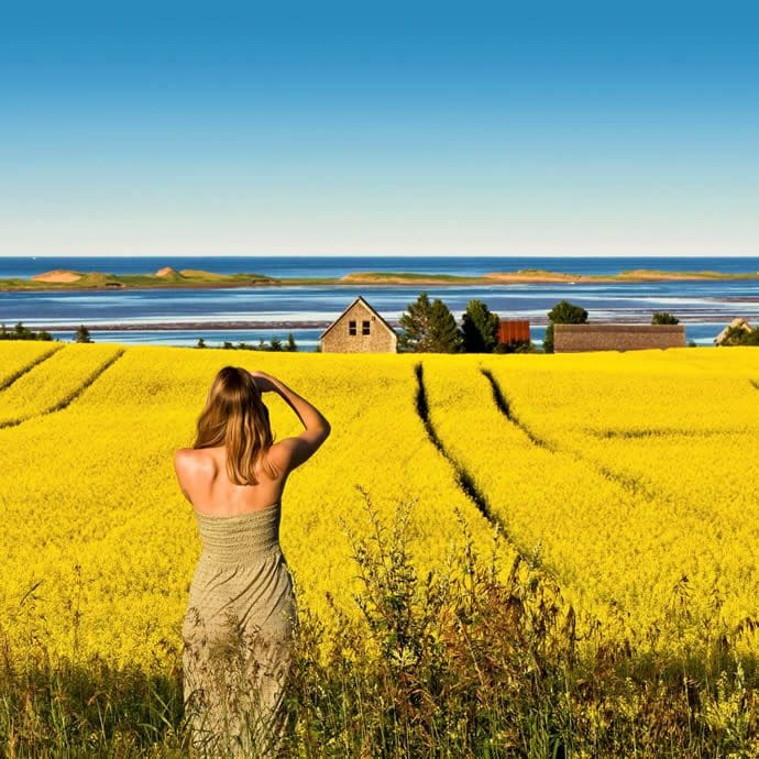 Springbrook - Prince Edward Island Tourism