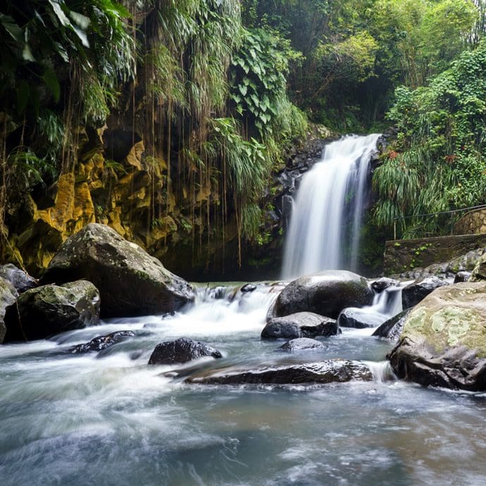 Annandale Falls - Pure Grenada/Dietmar Denger Annandale Falls - Pure Grenada/Dietmar Denger