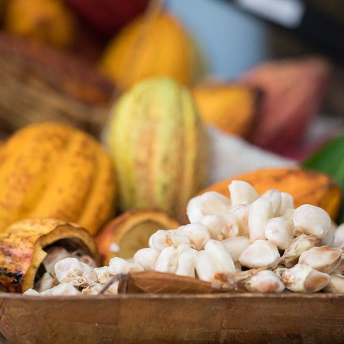 Cocoa - Pure Grenada Cocoa - Pure Grenada