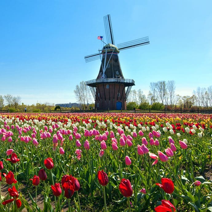 Windmill in Holland, Michigan Windmill in Holland, Michigan