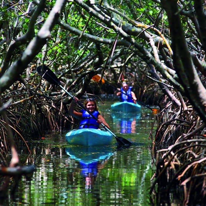 Caladesi Island canoeing - VisitStPeteClearwater.com/Douglas R. Clifford Caladesi Island canoeing - VisitStPeteClearwater.com/Douglas R. Clifford