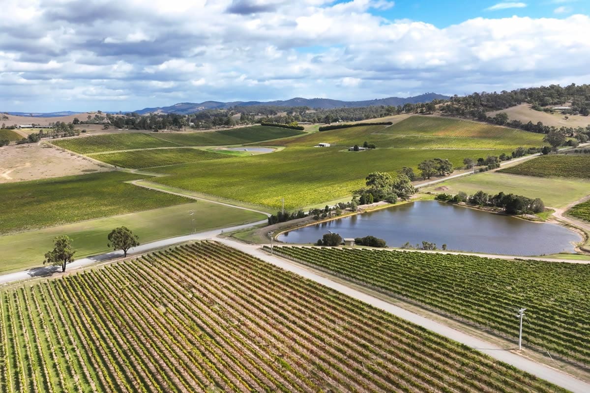 De Bortolli Wines, Yarra Valley, Tourism Australia
