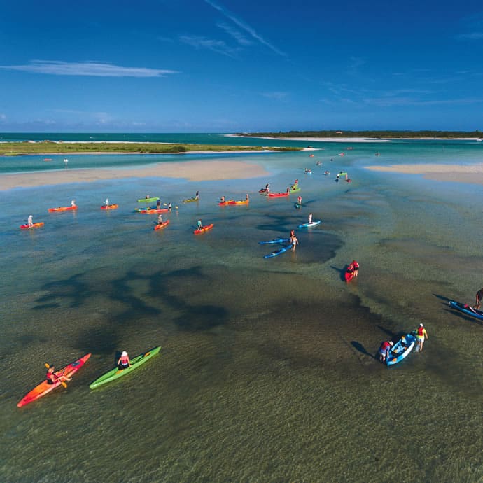 Kayaking by Caladesi Island - visitstpeteclearwater/Steven P. Widoff Kayaking by Caladesi Island - visitstpeteclearwater/Steven P. Widoff
