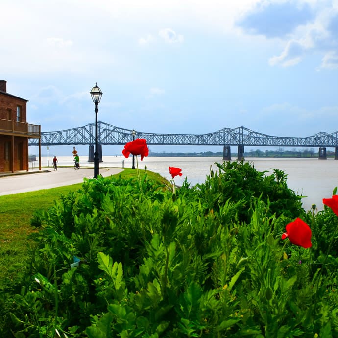 Poppies - Visit Mississippi Poppies - Visit Mississippi