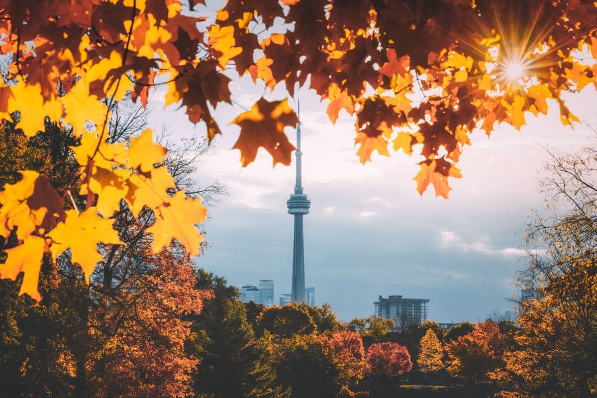 View of the CN Tower in autumn - Destination Toronto