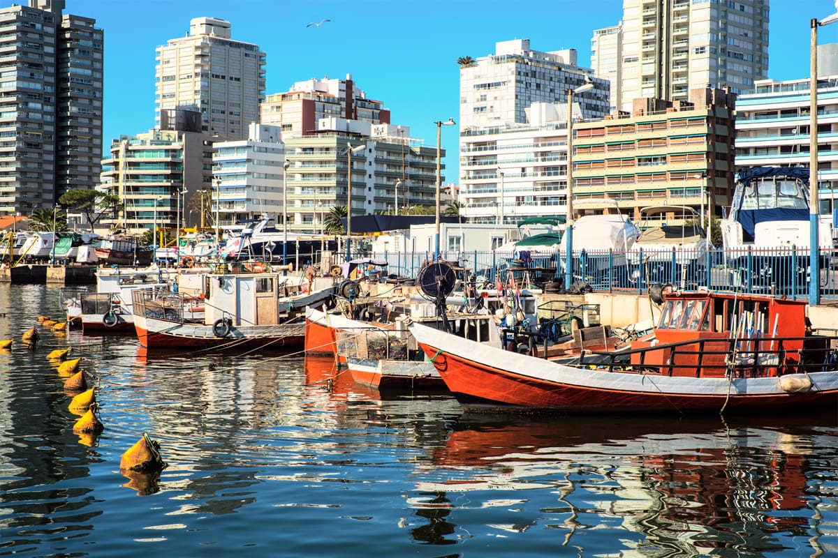 Fishing boats in Punta Del Este, Uruguay