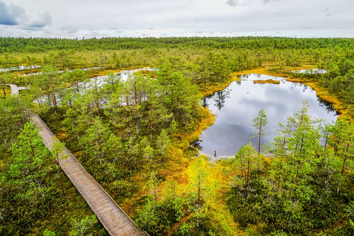 Lahemaa National Park, Estonia