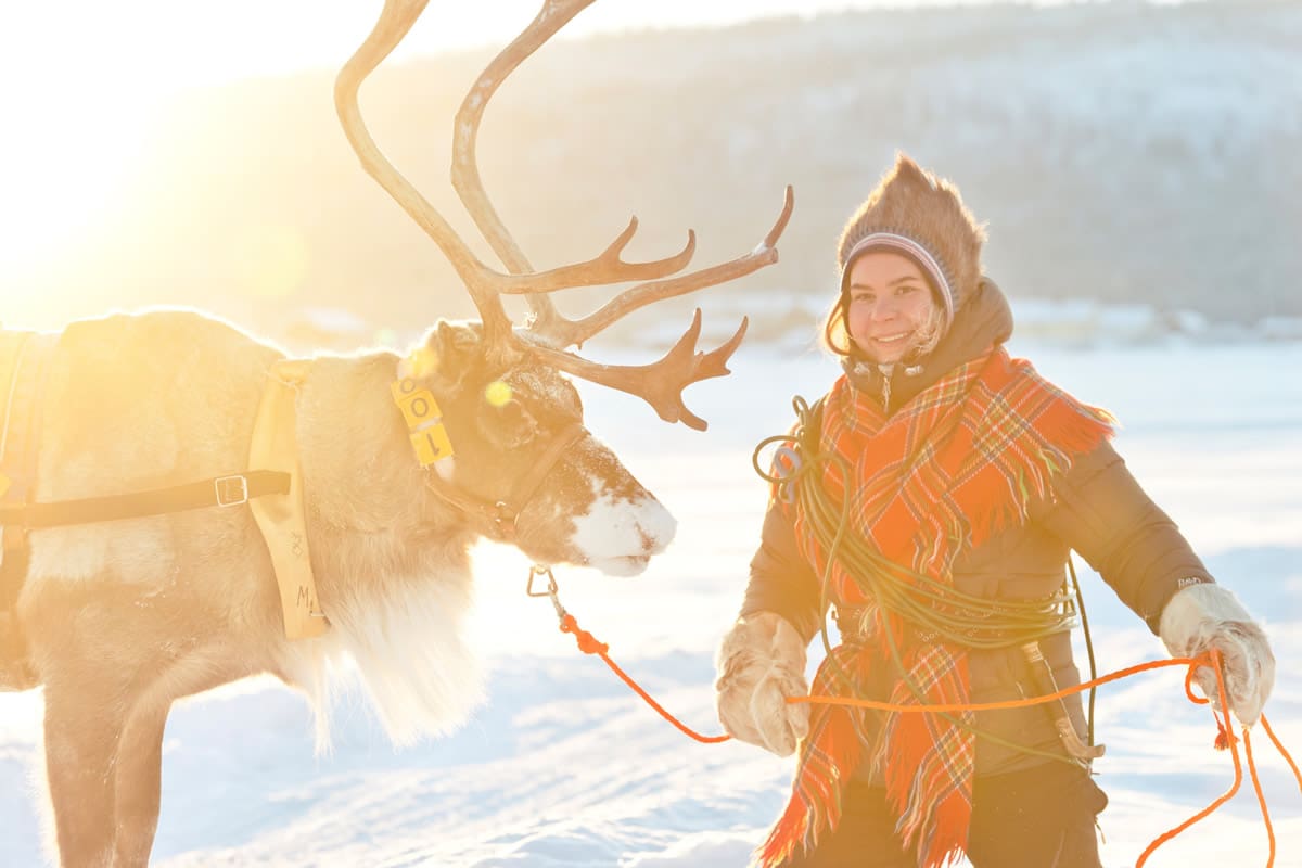 Guided tours of northern lights and rides in reindeer sleds are examples of popular activities provided by Nutti Sámi Siida, which is one of the tourism companies in Swedish Lapland - imagebank.sweden.se/Anna Öhlund