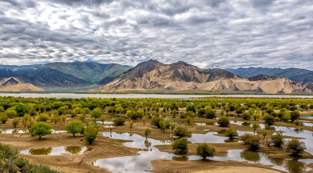The Brahmaputra River