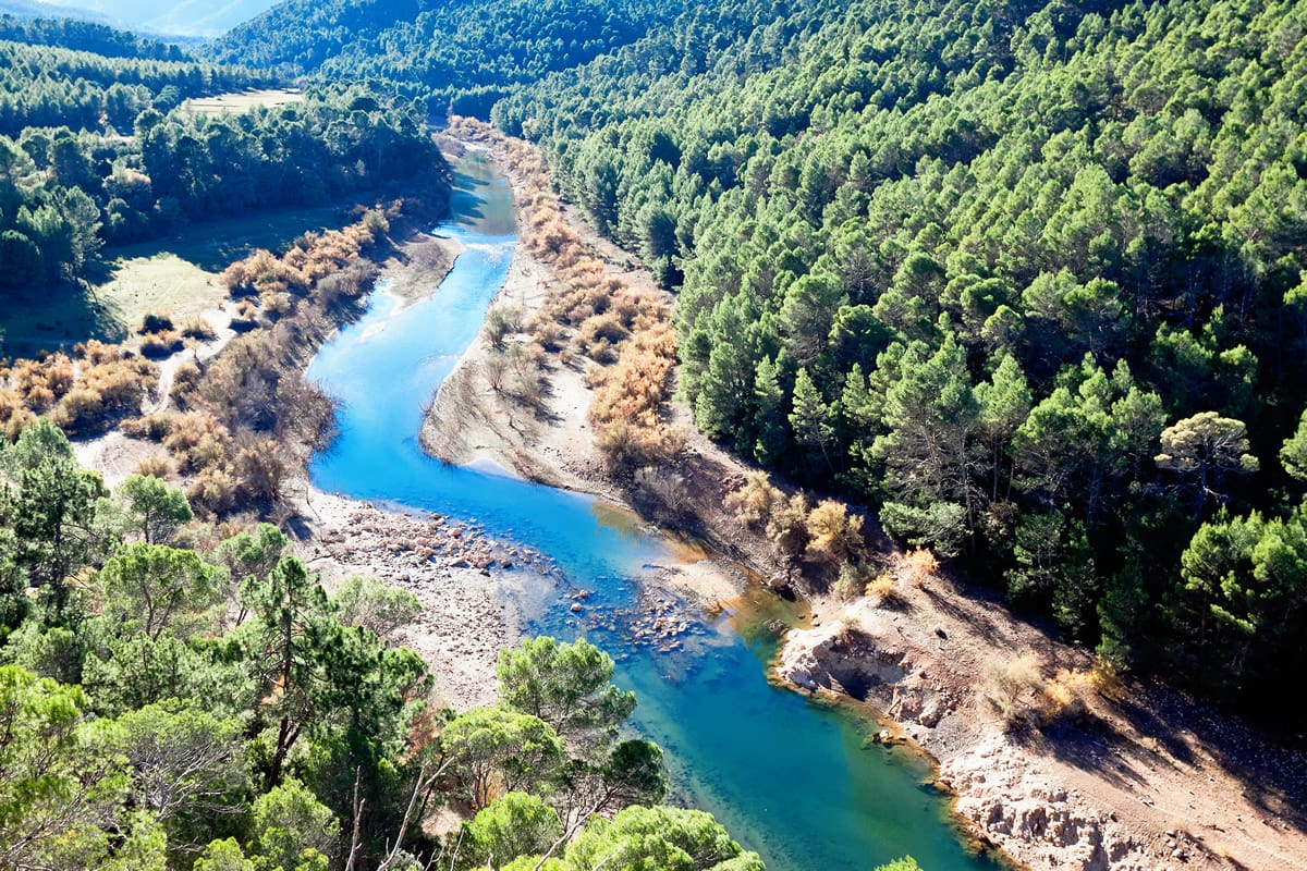 Wild banks of the Guadalquivir River, Spain