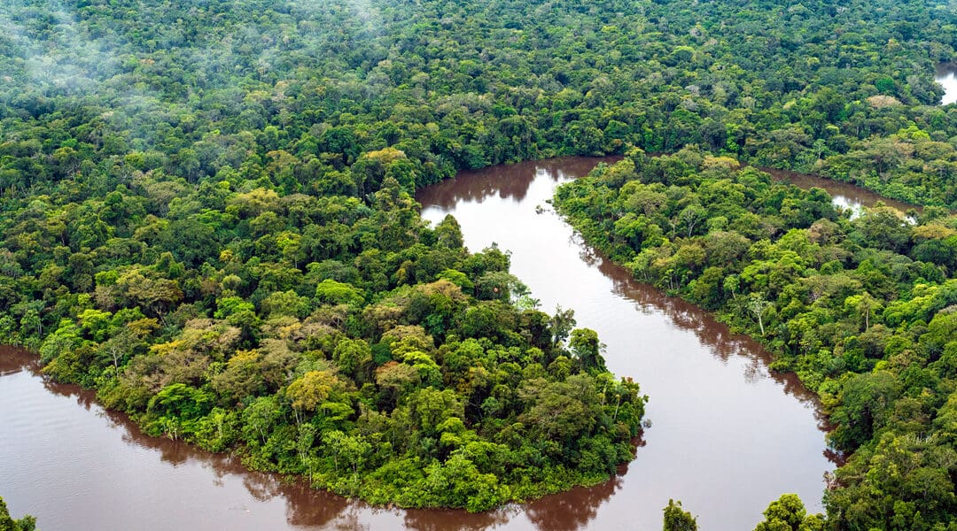 The Amazon River