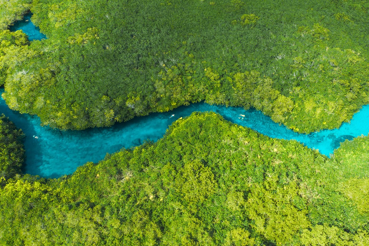 Aerial view of Casa Cenote, Tulum, Quintana Roo