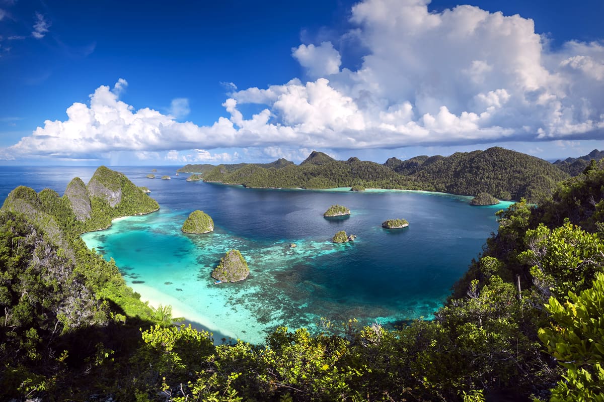Raja Ampat Marine Reserve, New Guinea