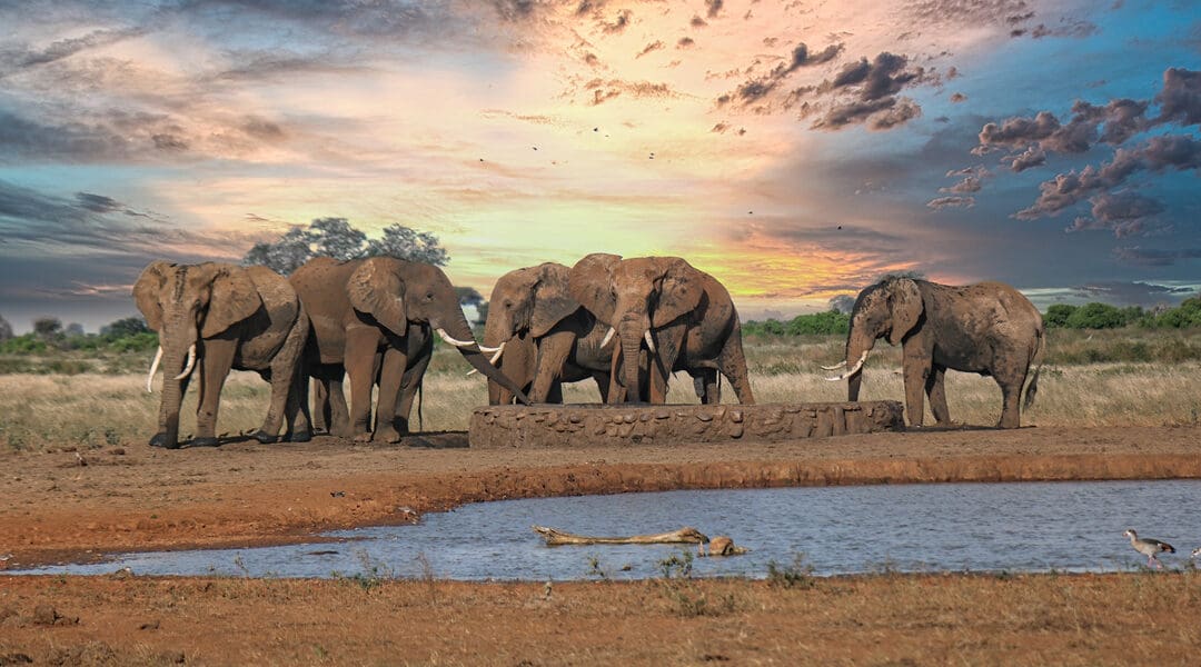 Tanzania