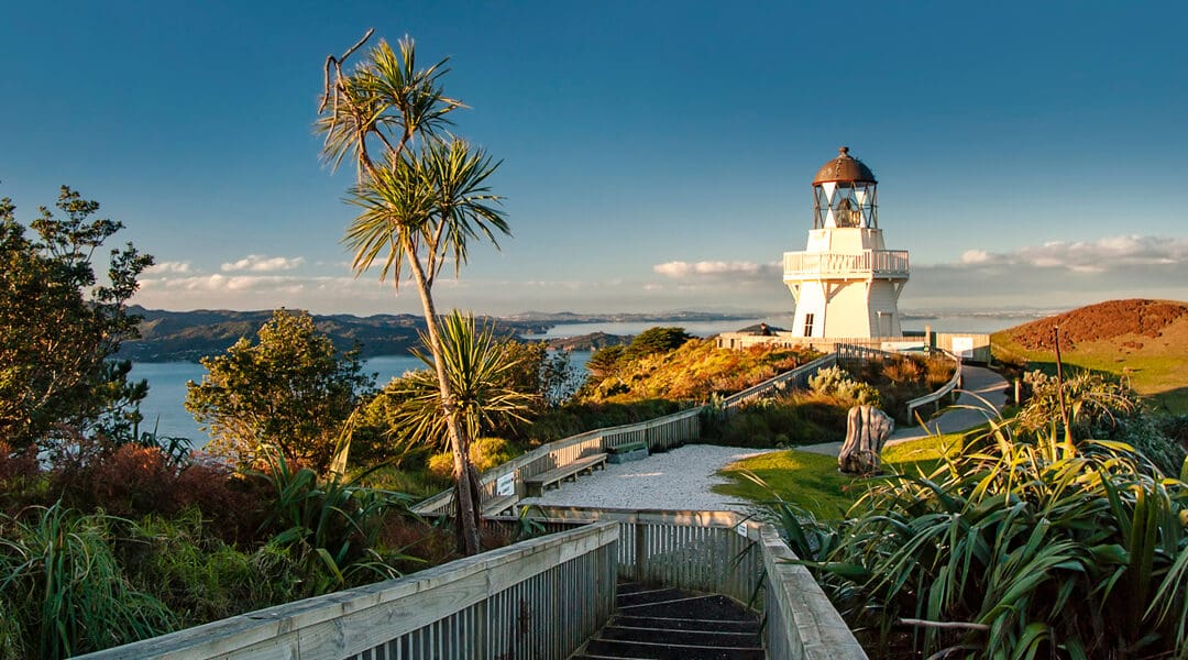 New Zealand Cruising