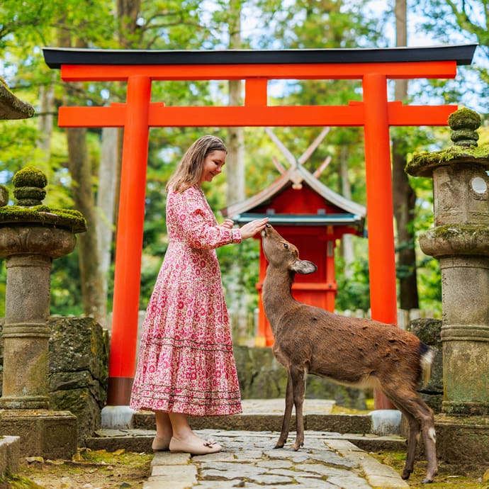 Tourist with deer at Nara Park, Japan