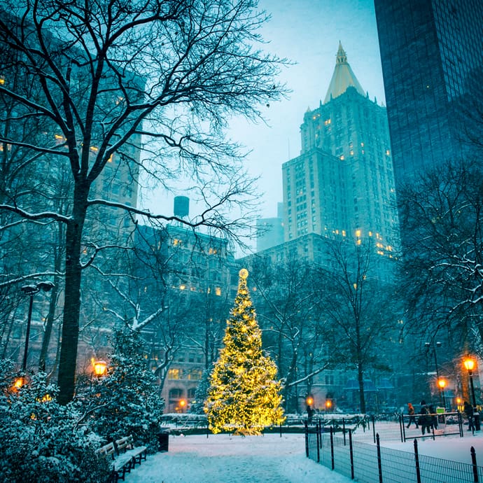 Christmas tree in Madison Square Park, New York