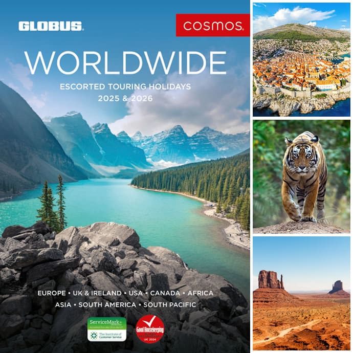 Cosmos brochures