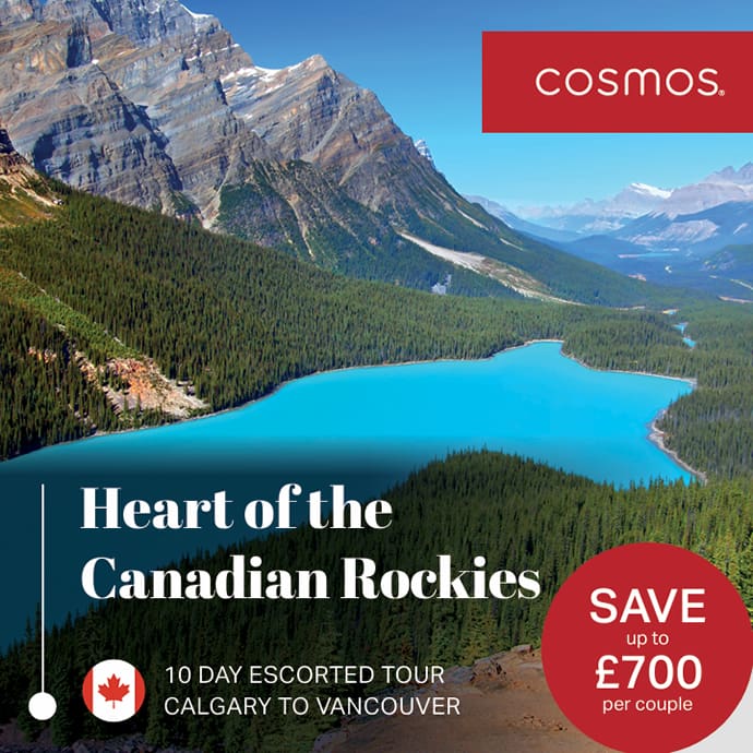 Cosmos window poster Cosmos window poster