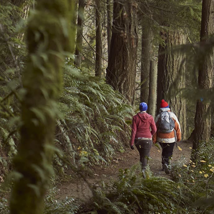 Forest Park hikers - Travel Portland/NASHCO Photo Forest Park hikers - Travel Portland/NASHCO Photo