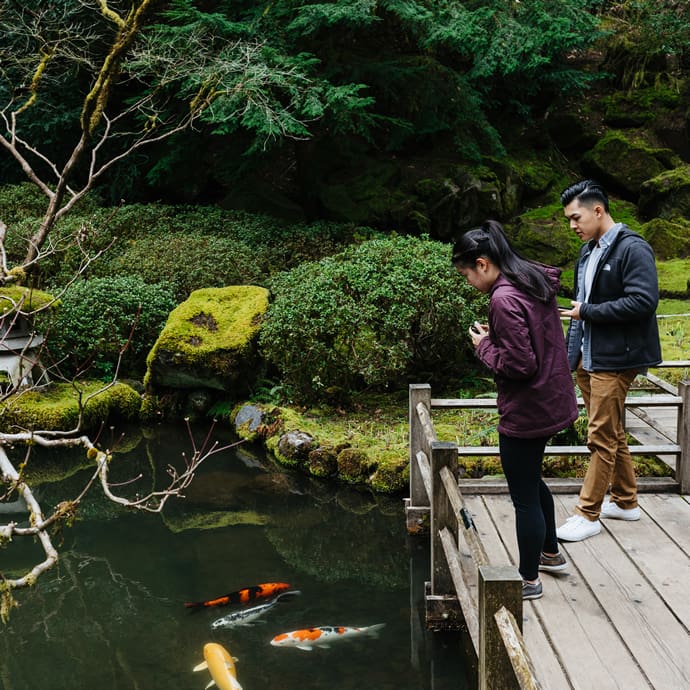 Koi fish in the Strolling Pond Garden, Portland Japanese Garden - Travel Portland/David Alvarado Koi fish in the Strolling Pond Garden, Portland Japanese Garden - Travel Portland/David Alvarado