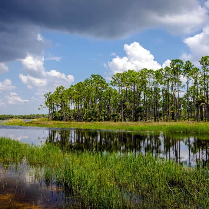Babcock Webb Wildlife Management Area - Punta Gorda/Englewood Beach Visitor & Convention Bureau