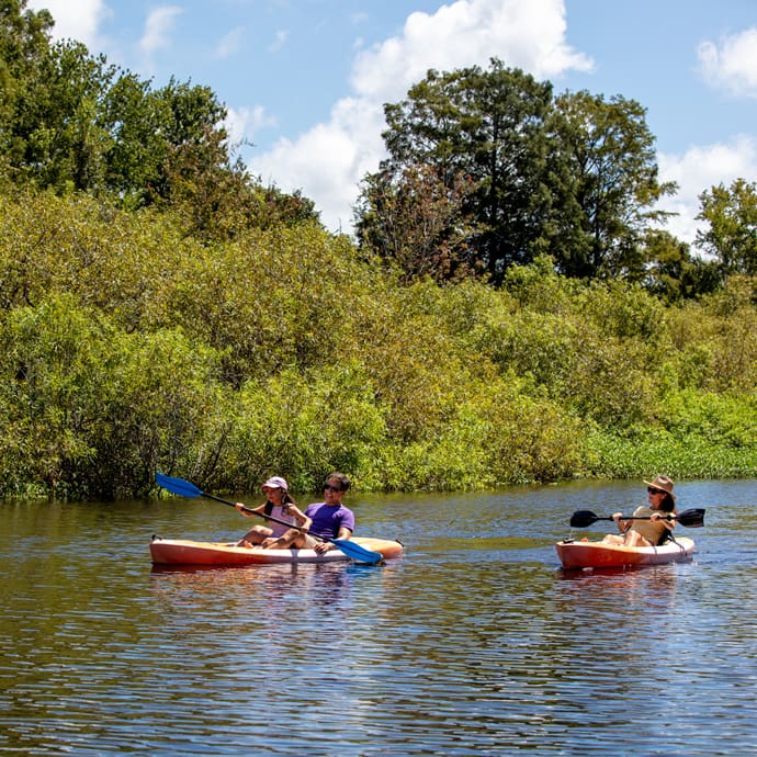 Family kayak adventures – Visit Central Florida