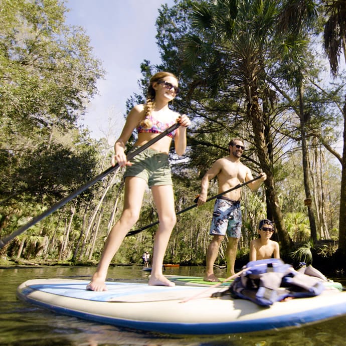 Family stand-up paddleboarding – Discover Crystal River/James Bobo/Waymack & Crew