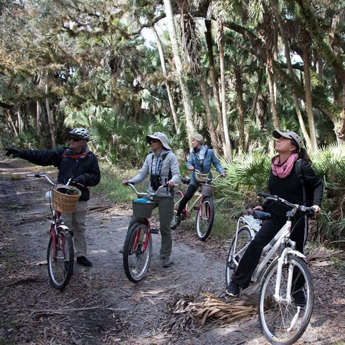 Exploring Myakka River State Park - Visit Sarasota County/David Shafer