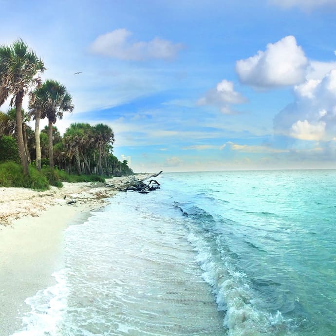 North Cayo Costa – Lee County Visitor Convention Bureau