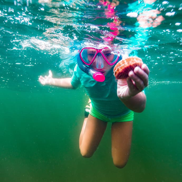 Scalloping in the waters of Homosassa – Discover Crystal River/Romona Robbins