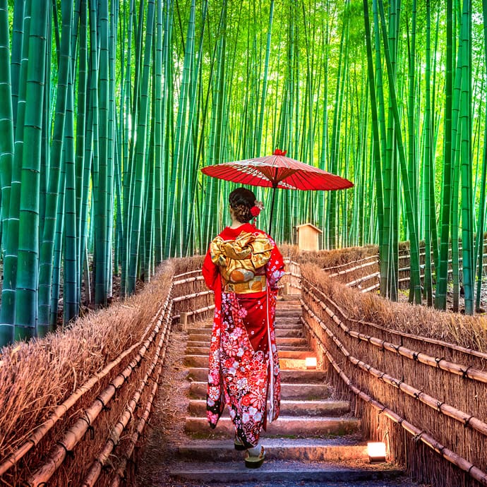 Japan’s bamboo forest