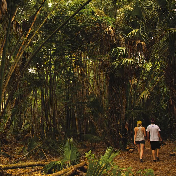 Couple walking in Koreshan State Park - Lee County Visitor Convention Bureau