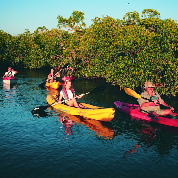 Kayaking the Great Calusa Blueway - Lee County Visitor & Convention Bureau