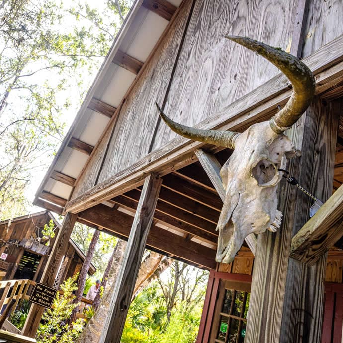 Babcock Ranch Eco Tours - Punta Gorda/Englewood Beach Visitor & Convention Bureau