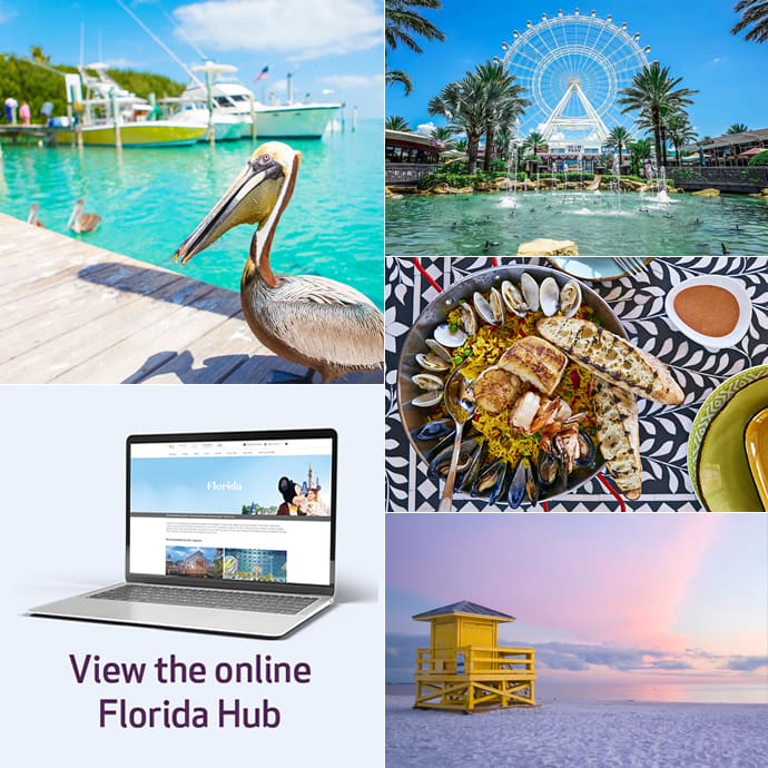 Gold Medal Florida Hub