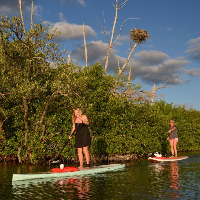 Stand-up paddleboarding - Punta Gorda/Englewood Beach Visitor & Convention Bureau